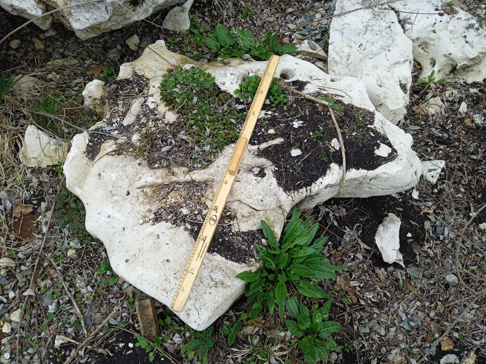  Выветренный известняк (степной) фр. 500-1500 мм.  купить в Ставрополе    8 500 руб/т   фото 