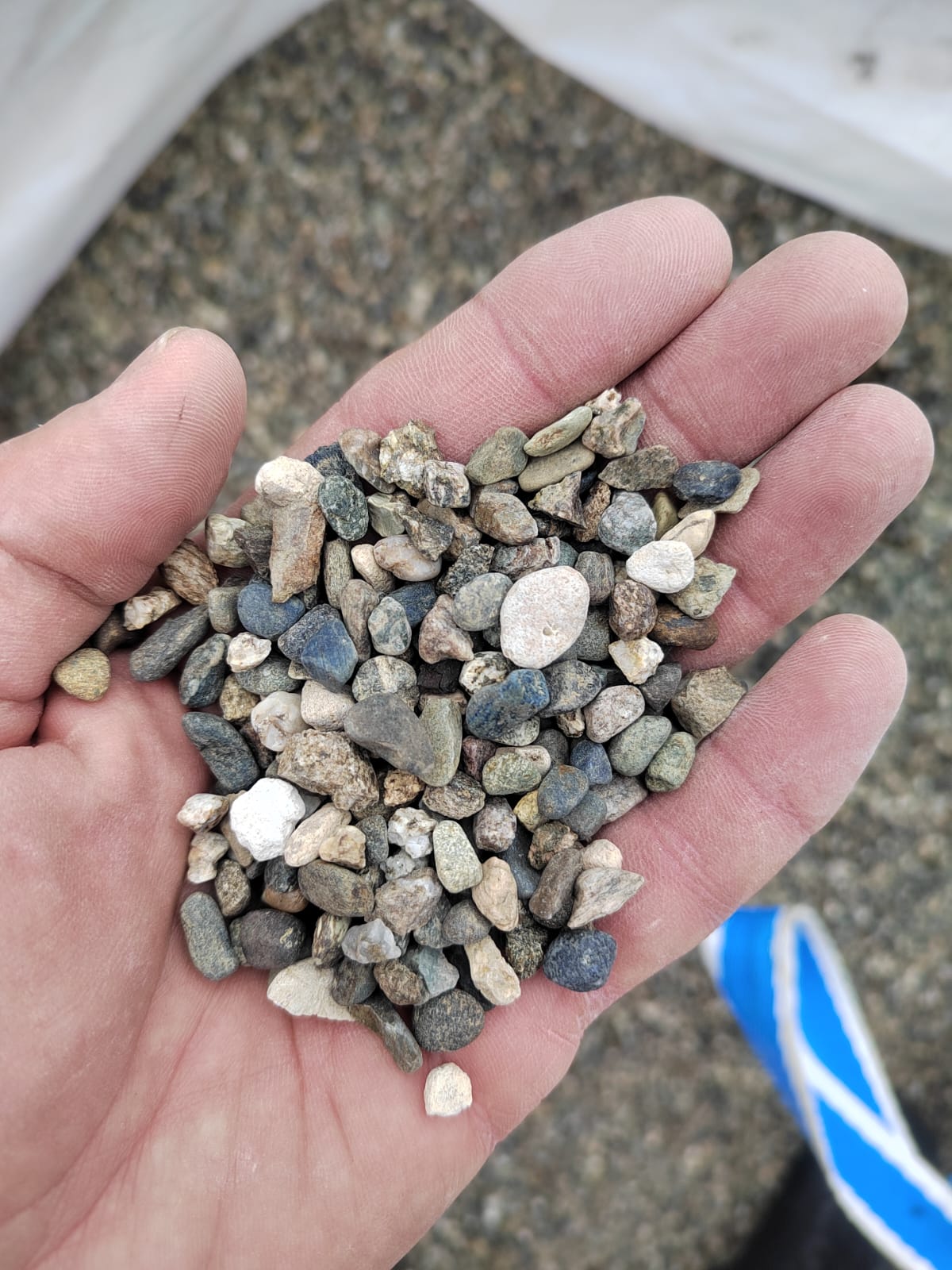  Галька речная окат (серая) фр.5-10 мм купить   в Ставрополе галька речная серая, серый, темно-серый, светло-серый, коричневый речная окатанная галька декоративная ландшатфная 4000 руб/т   фото 