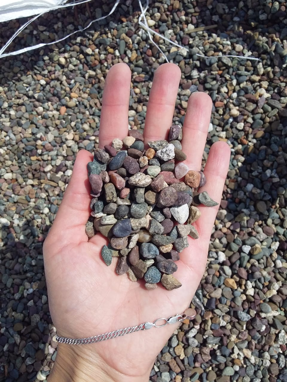  Галька речная окат цветная фр.5-10 мм. купить   в Ставрополе галька речная белый, серый, красноватый, синий, темно-серый речная окатанная галька декоративная 5000 руб/т   фото 