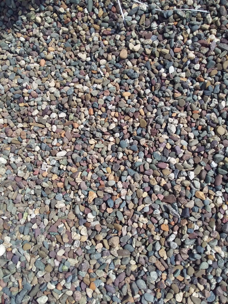  Галька речная окат цветная фр.5-10 мм. купить   в Ставрополе галька речная белый, серый, красноватый, синий, темно-серый речная окатанная галька декоративная 5000 руб/т   фото 