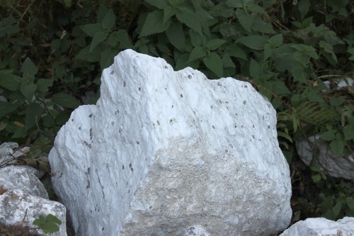  Мраморизированный известняк фр. 100-500 мм.  купить в Ставрополе известняк серый белый темно-серый сероватый валун природного образования окатанный 7 500 руб/т   фото 