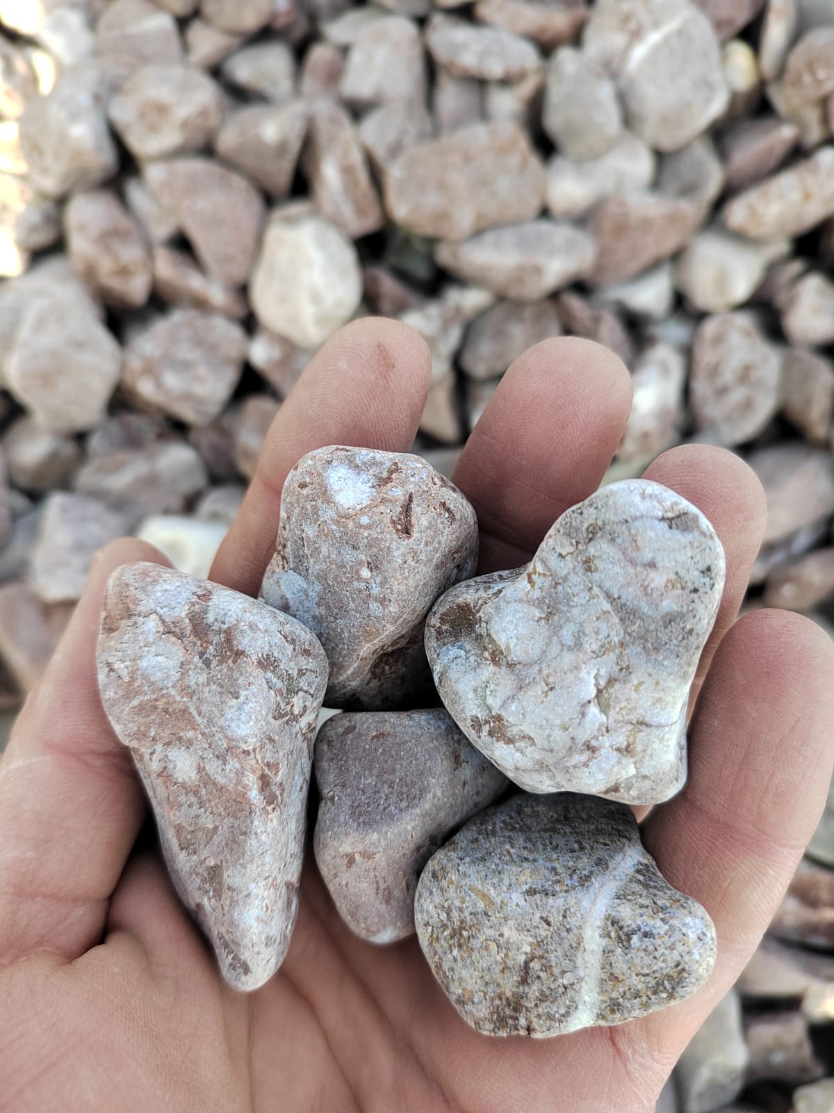  Розовая галька (щебень галтованный розовый) фр.20-40 мм.  купить  в Ставрополе мрамор розовый, красный оголтованный округлый щебень  13500 руб/т   фото 