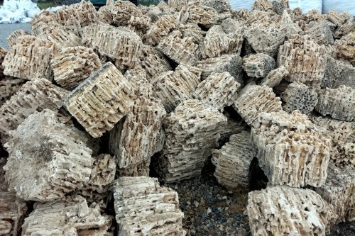  Крымский природный меотис фр. 100-500 мм.  купить в Ставрополе меотис бежевый рыжий молочный желтый ракушечник 4 500 руб/т   фото 