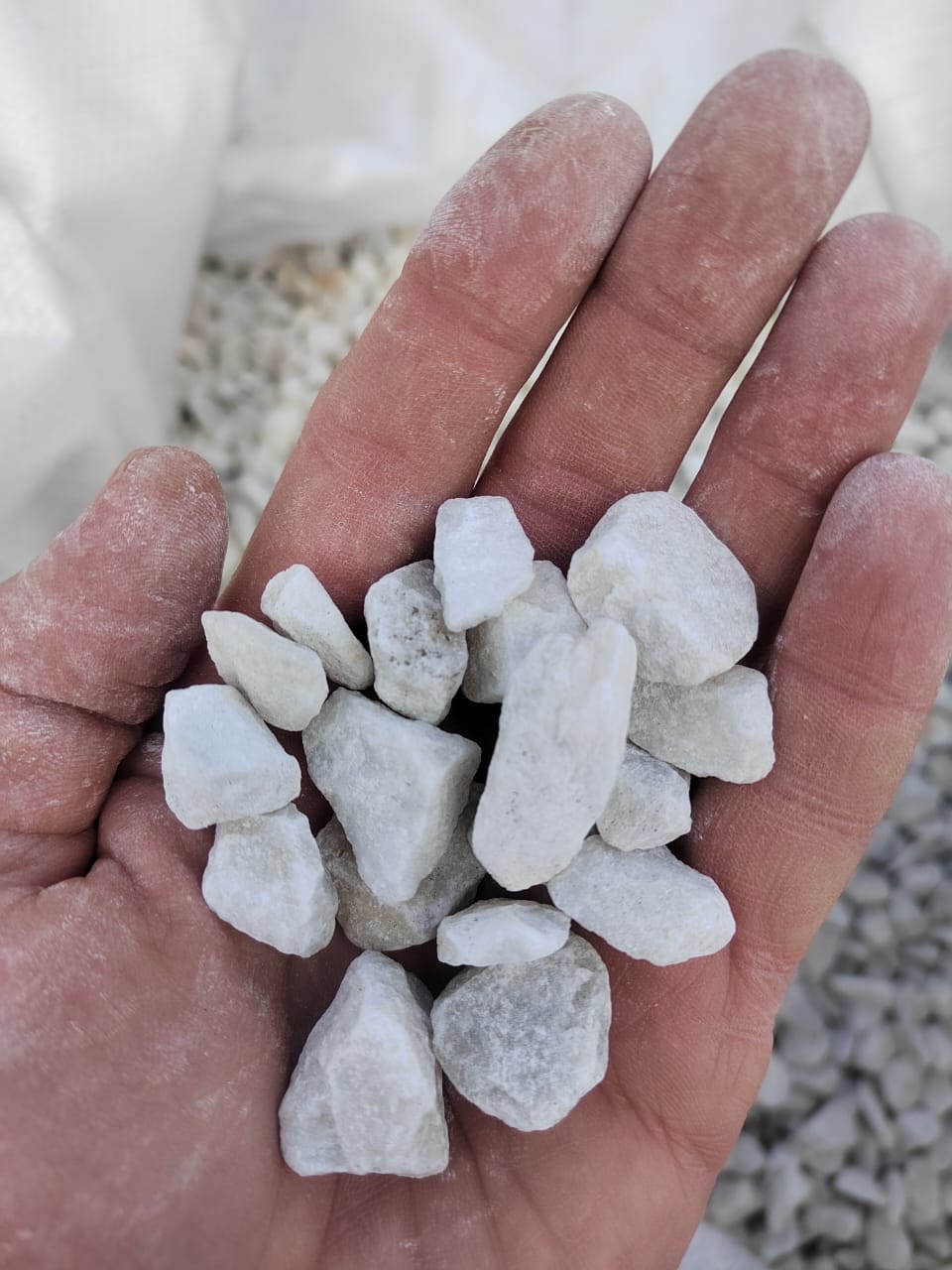  Мраморная крошка, щебень, цвет-белый, фр. 10-20 мм.  купить  в Ставрополе мрамор белый, молочный айвори каменная ландшафтная декоративная крошка шебня 9500 руб/т   фото 