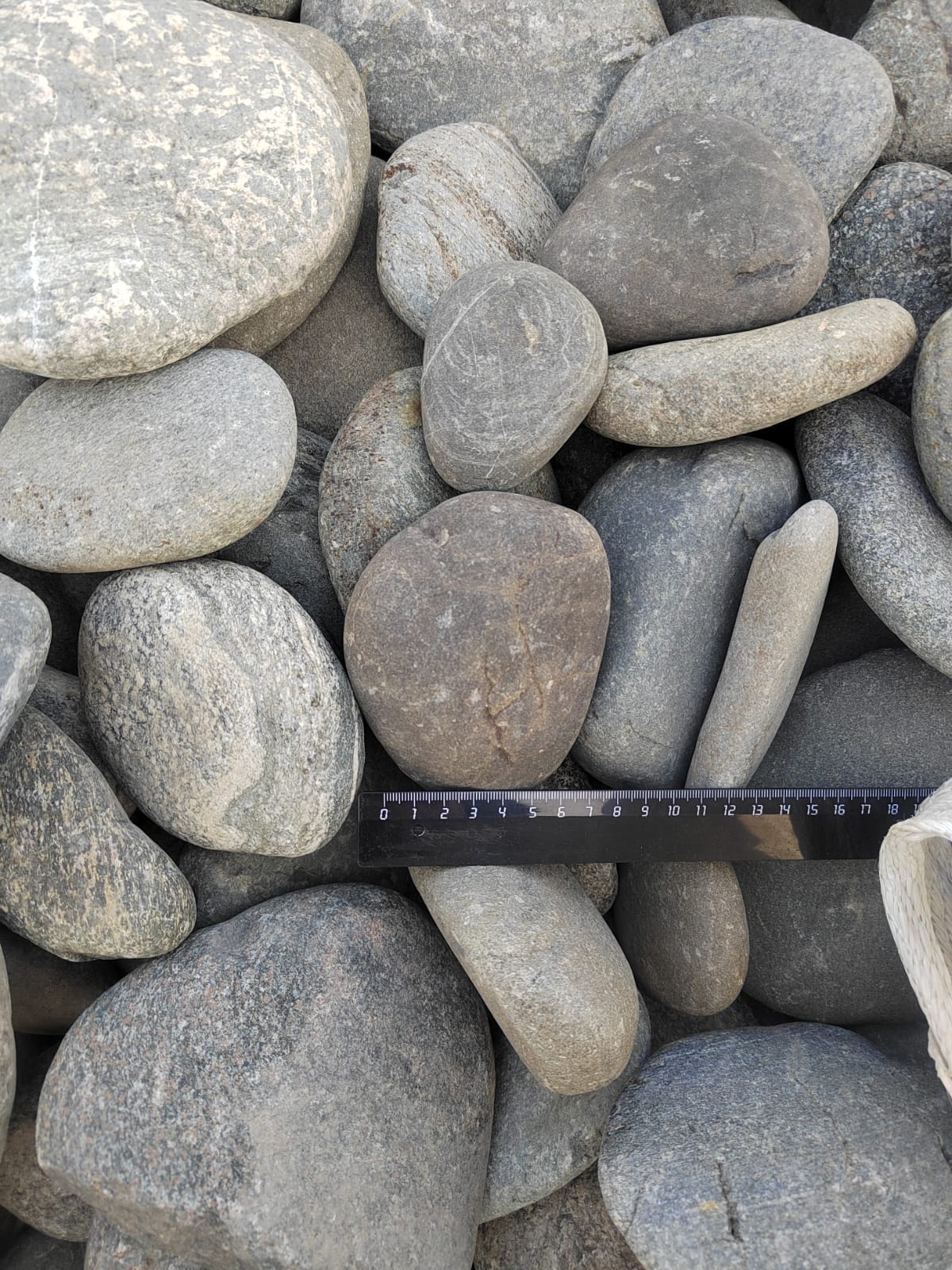 Kamenclub.ru: Галька речная плоская (ассорти) фр. 70-150 мм. купить   в  Ставрополегалька галечник серый белый темно-серый синий светло-серый плоская природная галька  6200 руб/т   фото КАМЕНЬ КЛУБ