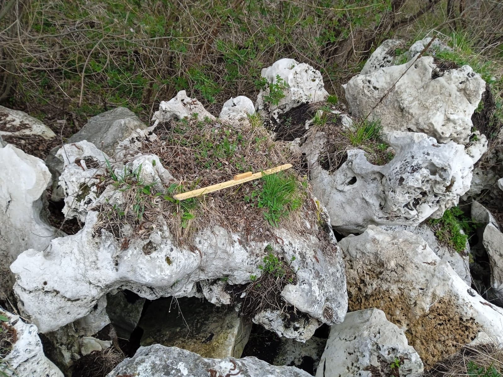  Выветренный известняк (степной) фр. 500-1500 мм.  купить в Ставрополе    8 500 руб/т   фото 