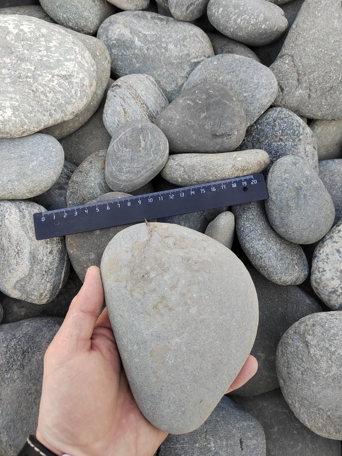 Kamenclub.ru: Галька речная плоская (ассорти) фр. 70-150 мм. купить   в  Ставрополегалька галечник серый белый темно-серый синий светло-серый плоская природная галька  6200 руб/т   фото КАМЕНЬ КЛУБ