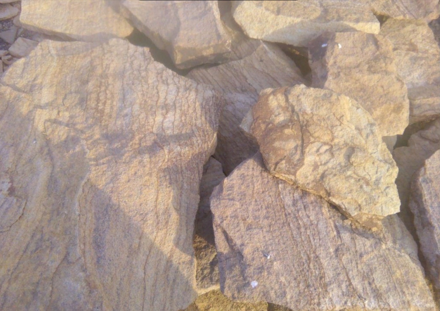 Песчаник пластушка "фонтанка" желтая (3,0 - 5,0 см)  купить  в Ставрополе песчаник желтая, рыжий, желтый песчаник колотый рваный со сколом облицовочный 8 500 руб/м3   фото 